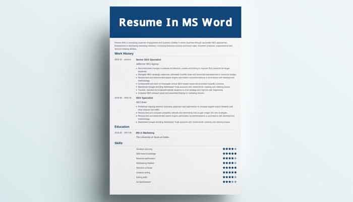 Resume In MS Word