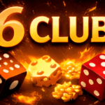 6 Club Login